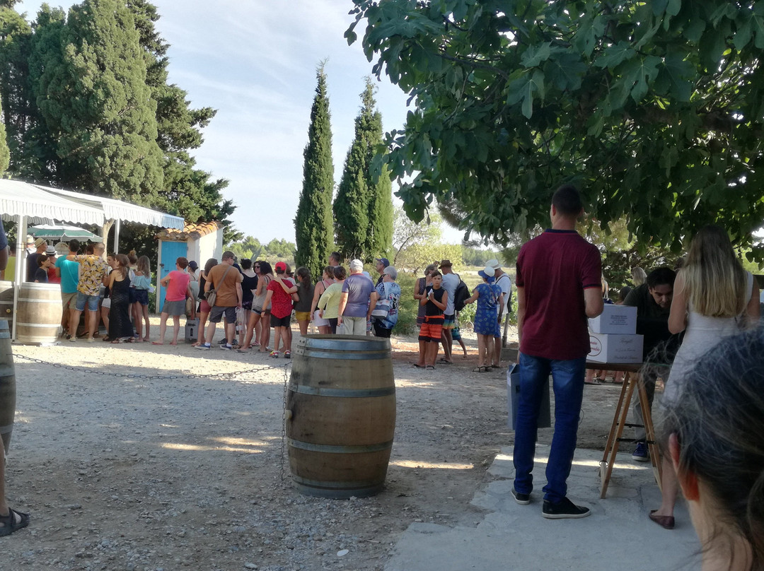 Domaine Bel Eveque-Gruissan必去景点