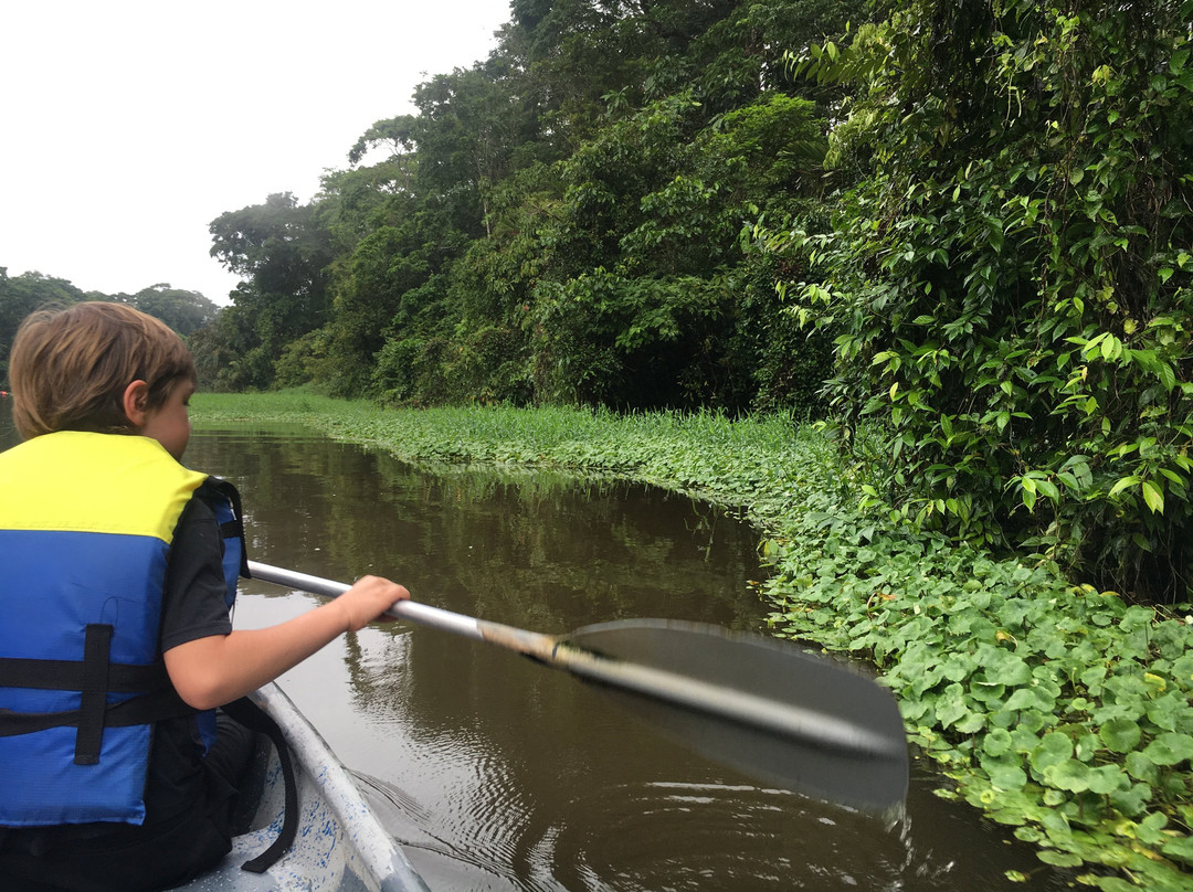 Tortuguero Tours景点图片