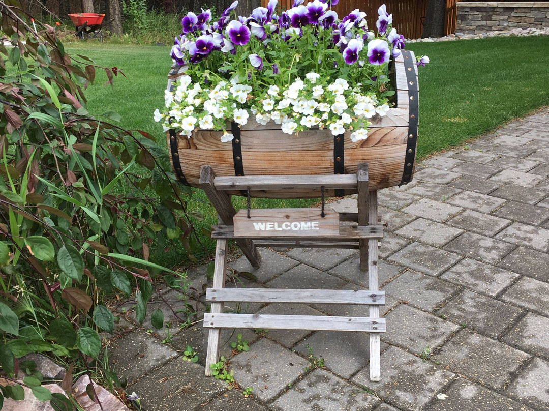 峡谷岭旅馆主图