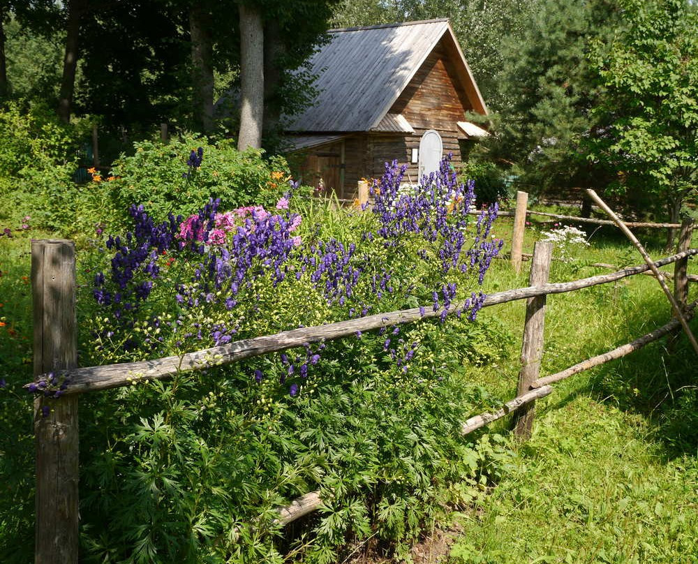 State Museum Preserve of D.I. Mendeleyev and A.A. Block景点图片