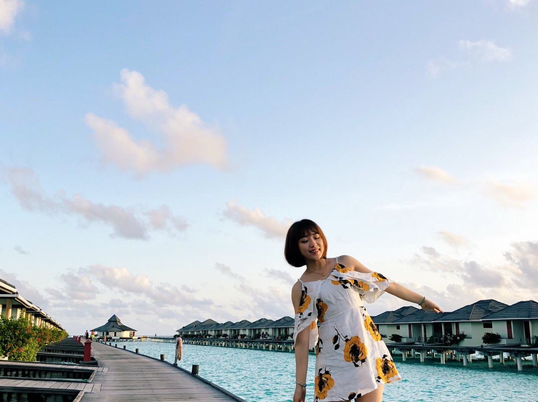 阳光岛别墅公园主图