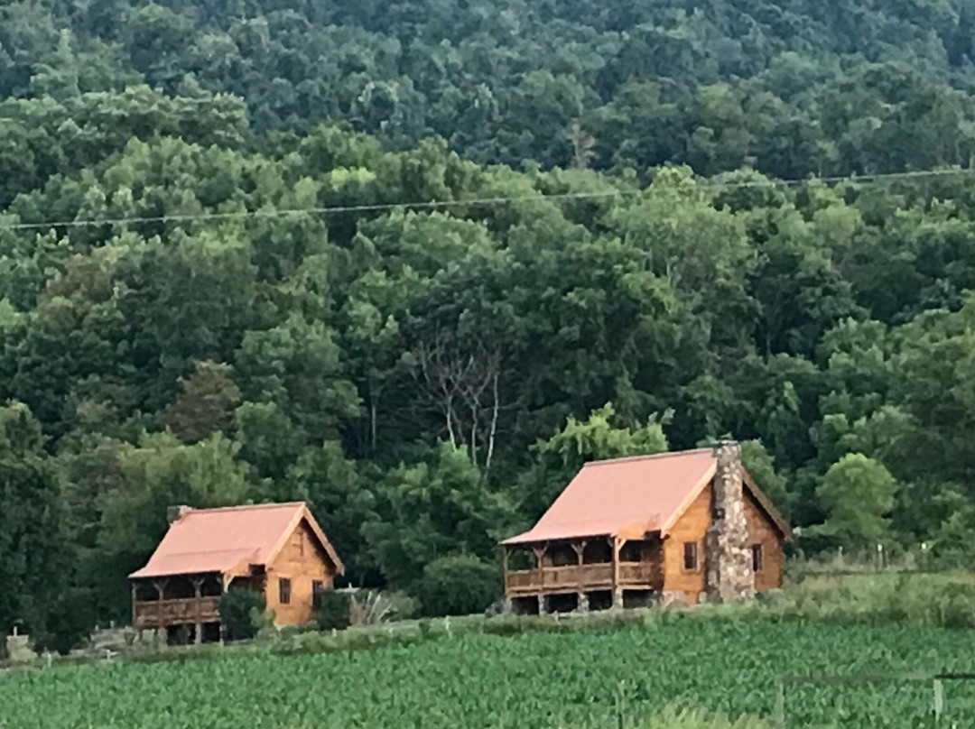 Cuz's Cabins and Resort主图