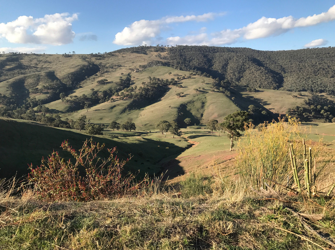 Avon Wilderness Park