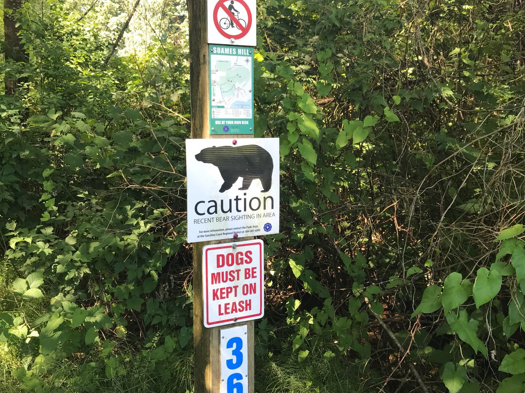 Soames Hill (aka Knob Hill)-吉布森斯必去景点