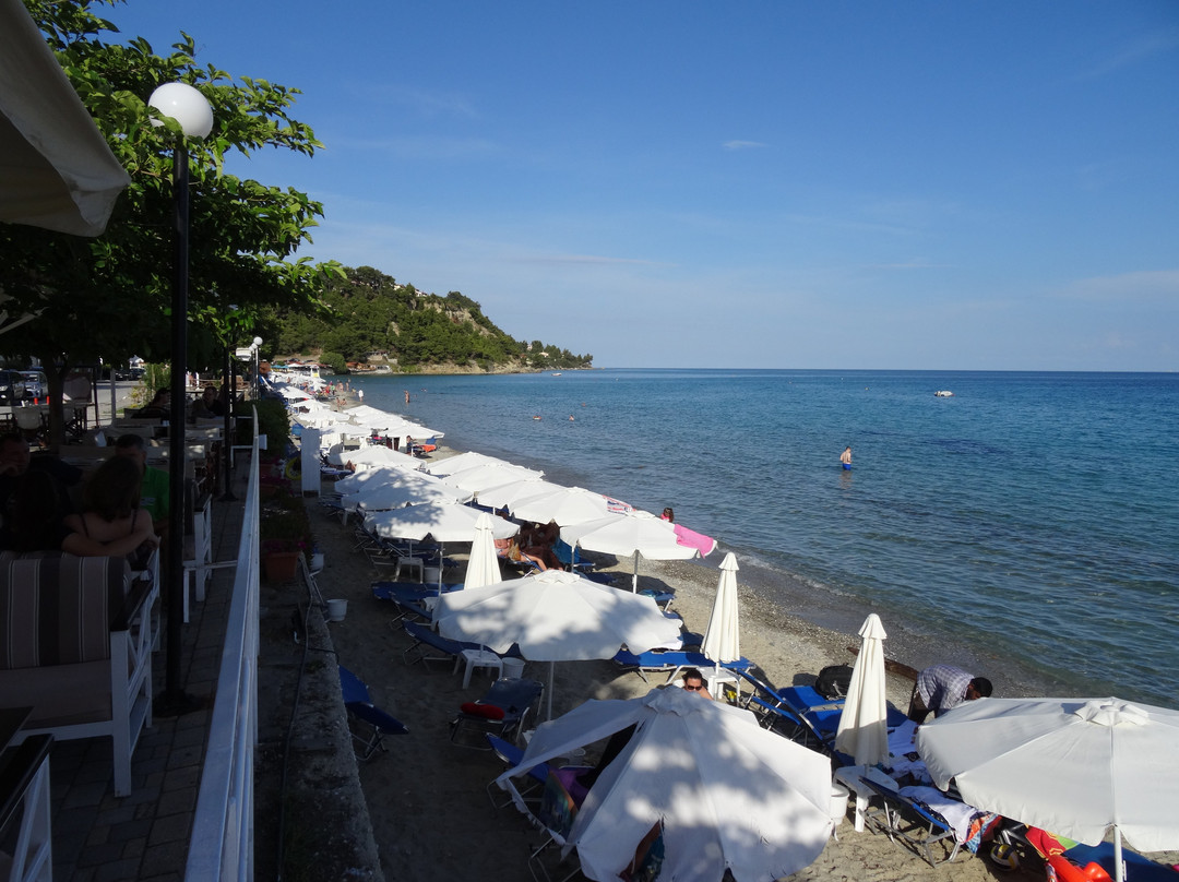 Xenios Dolphin Beach Hotel主图