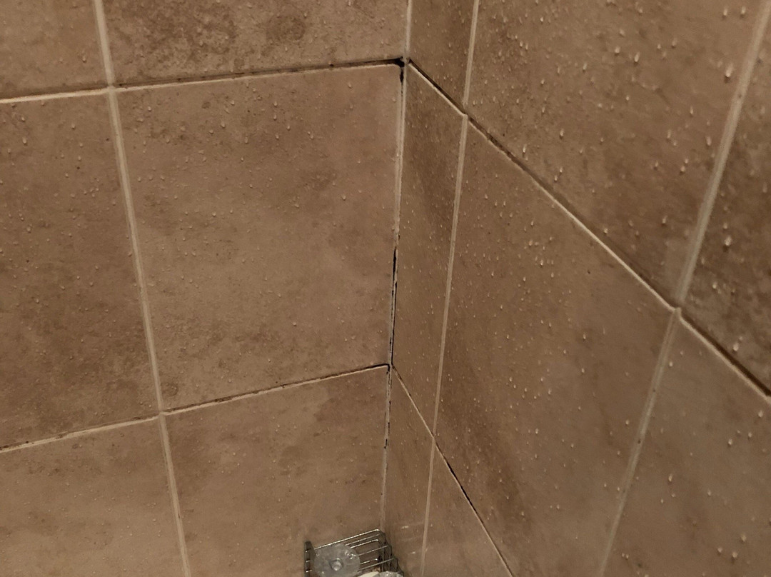 The Star Inn Ringwood主图