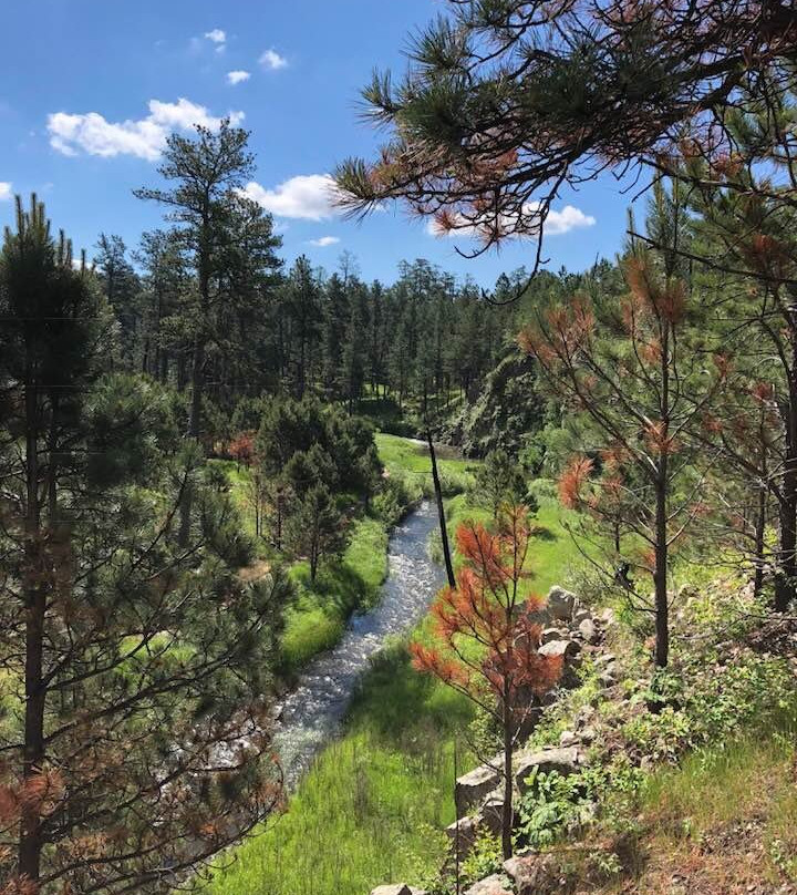 French Creek景点图片