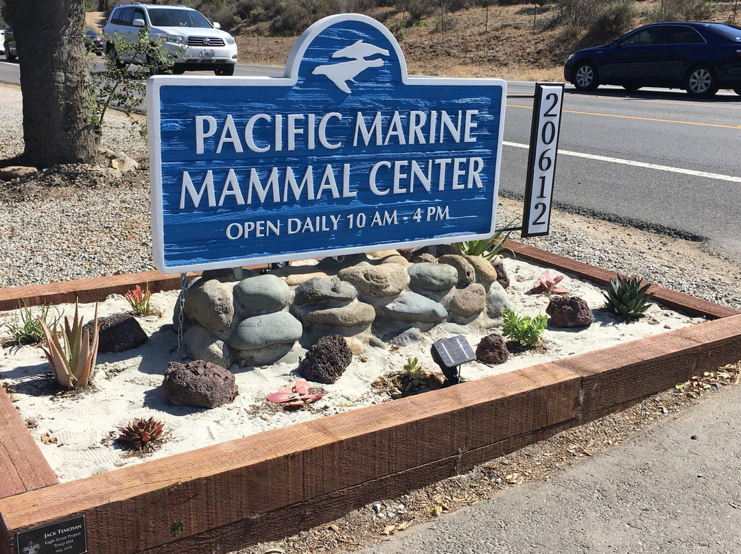 Pacific Marine Mammal Center景点图片