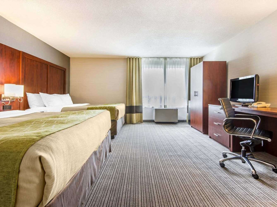 Comfort Inn & Suites Collingwood主图