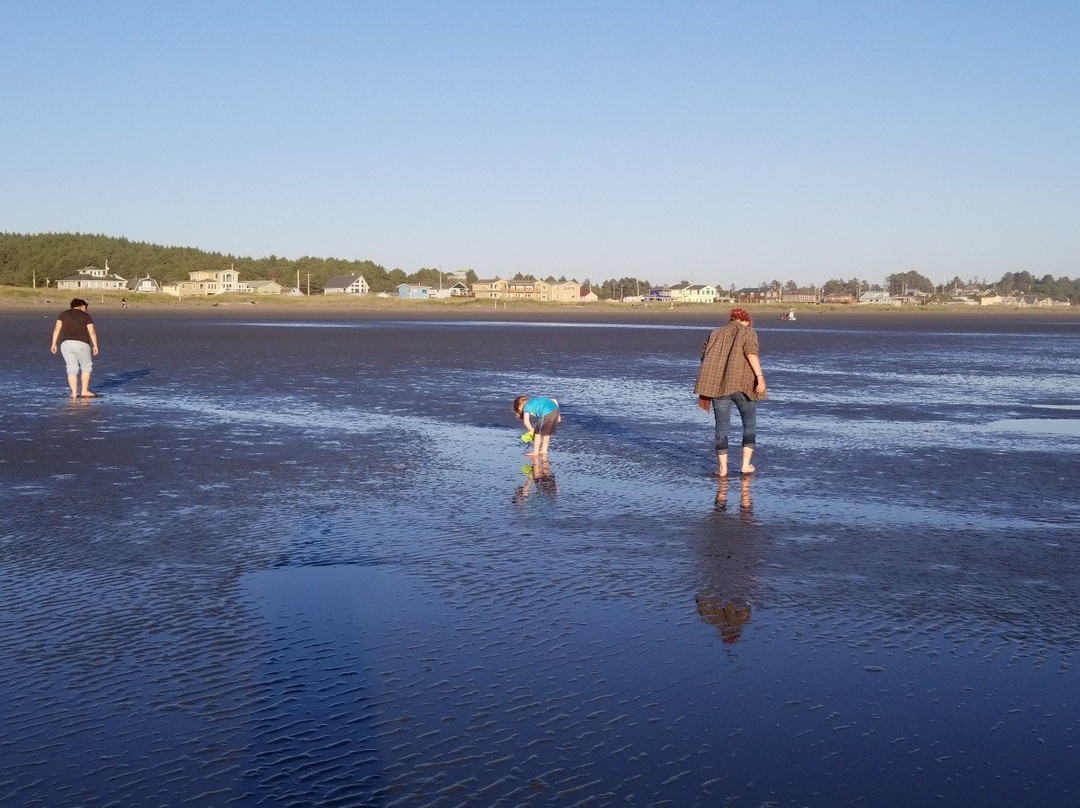 Hi-Tide Ocean Beach Resort主图