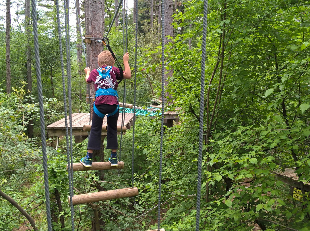 Accro Parc Vallon Pont D'arc景点图片