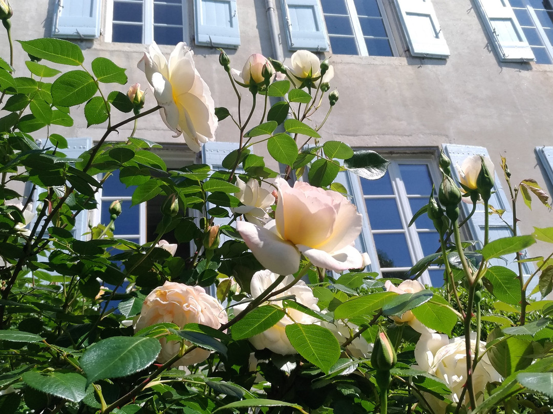 Saint-Hippolyte-du-Fort旅游攻略图片