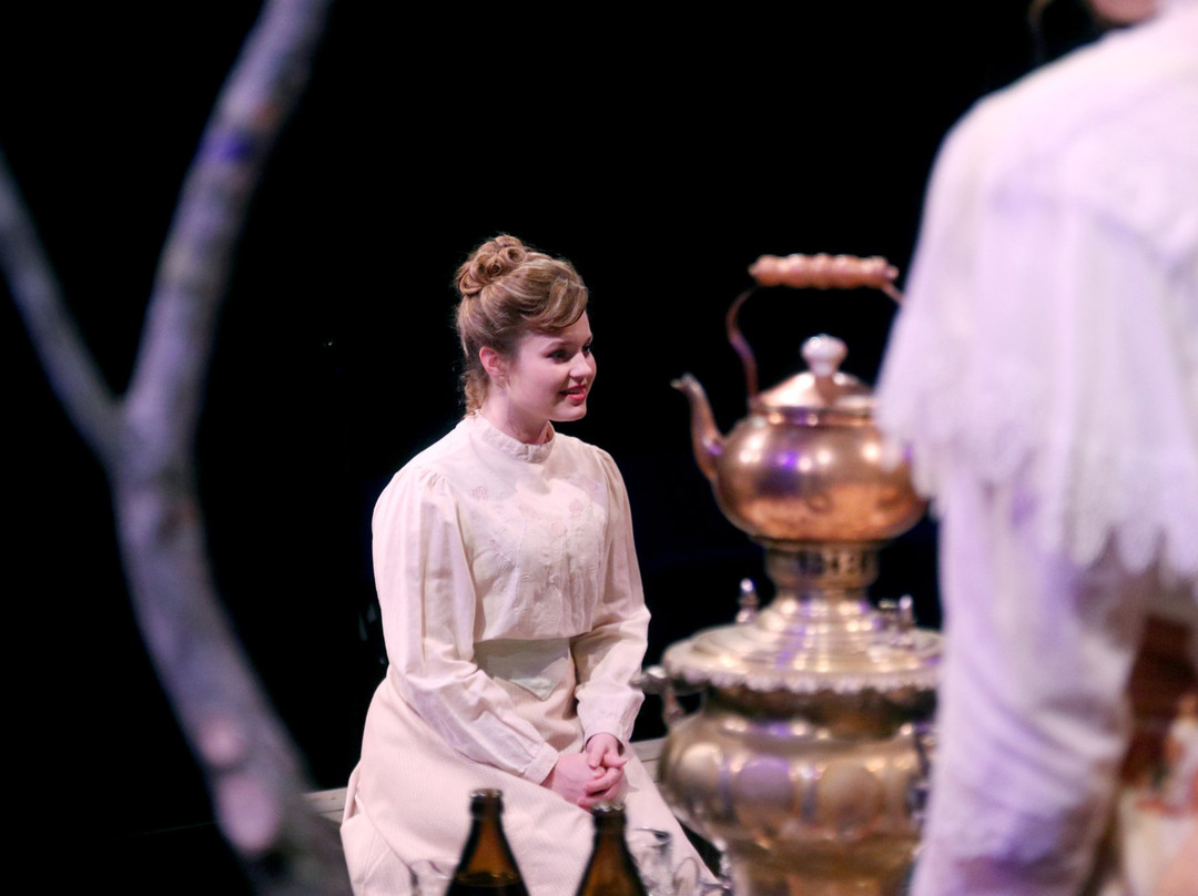 Main Street Theater-休斯顿必去景点