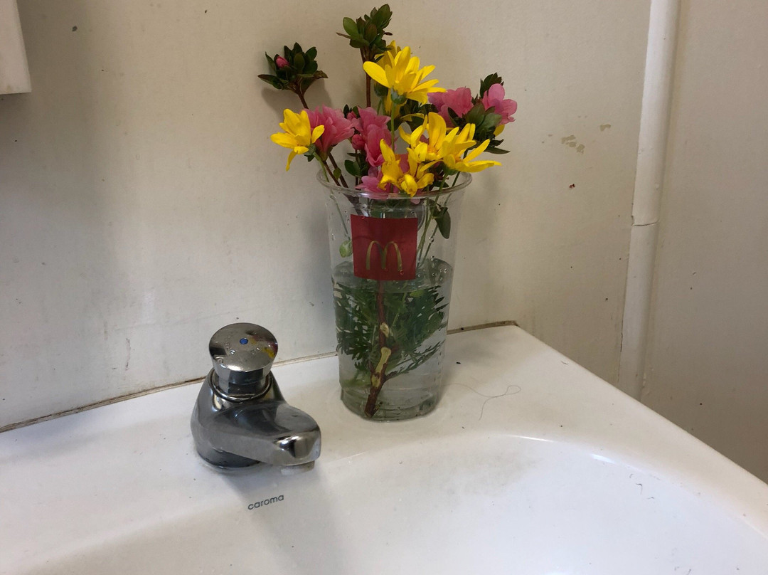 Te Aroha Visitor Information Centre- 蒂阿罗哈必去景点