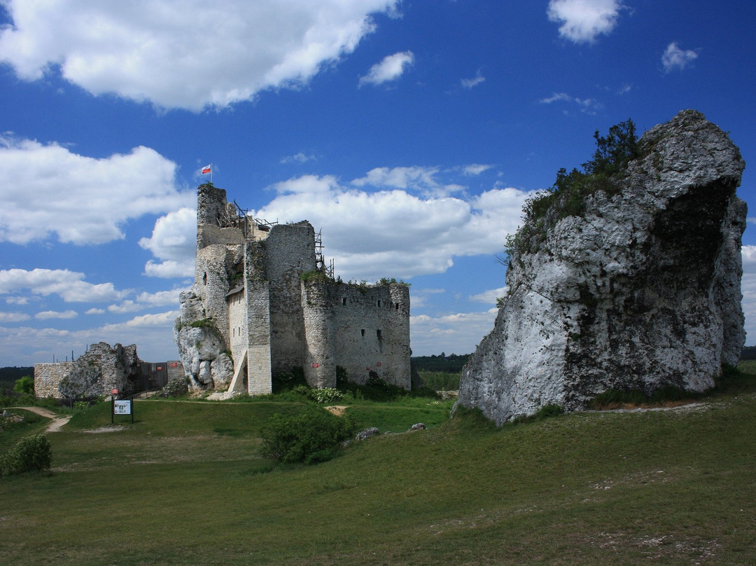 Ruiny Zamku Mirow景点图片