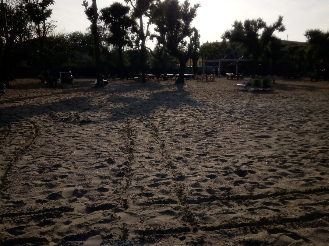 Sand Gate Beach景点图片