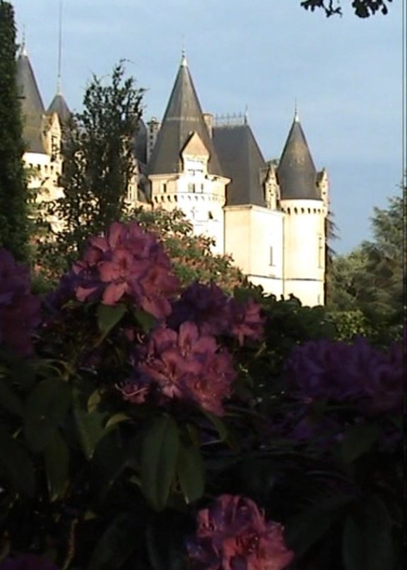 Château des Tesnières主图