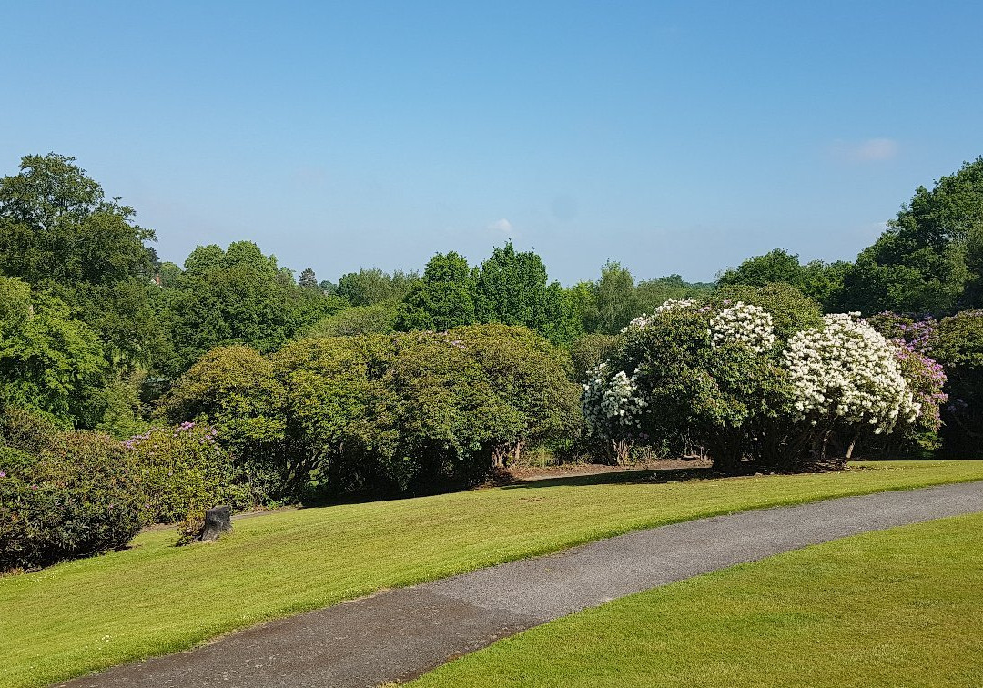 皇室温泉酒店主图