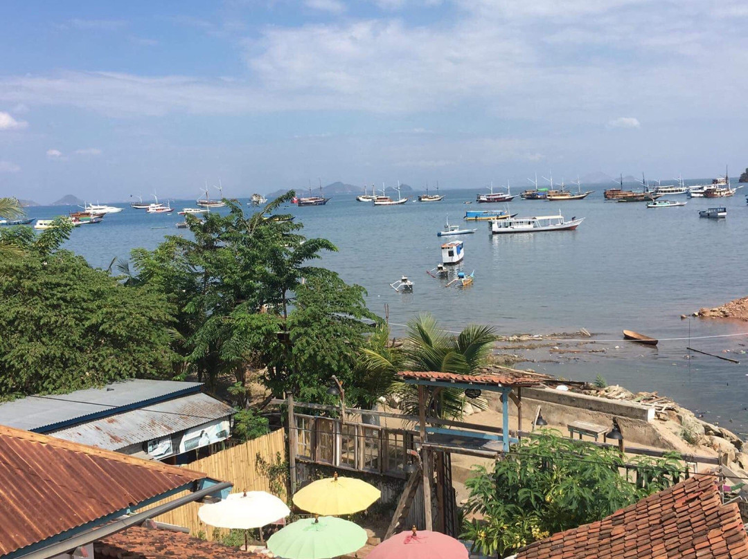 La Boheme Bajo主图