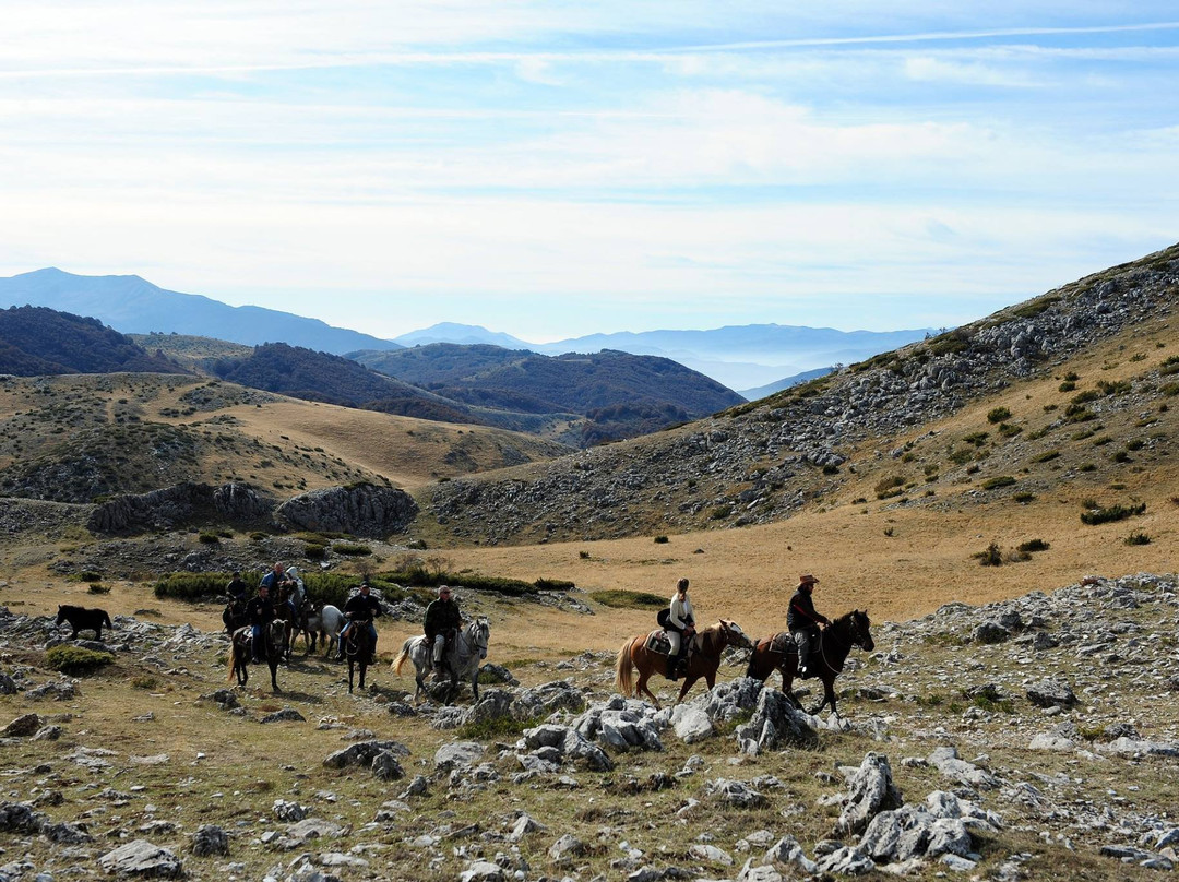 Sherpa Horse Riding-Galicnik必去景点