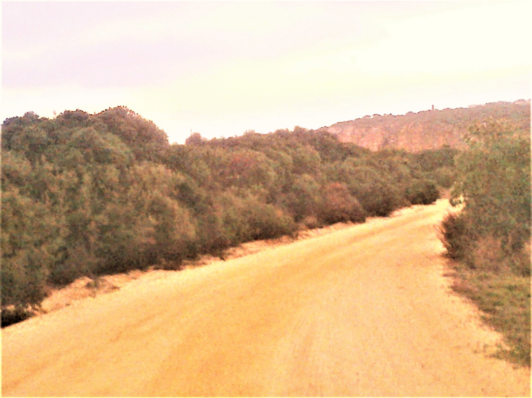 Fitzpatrick Seat-Aireys Inlet必去景点