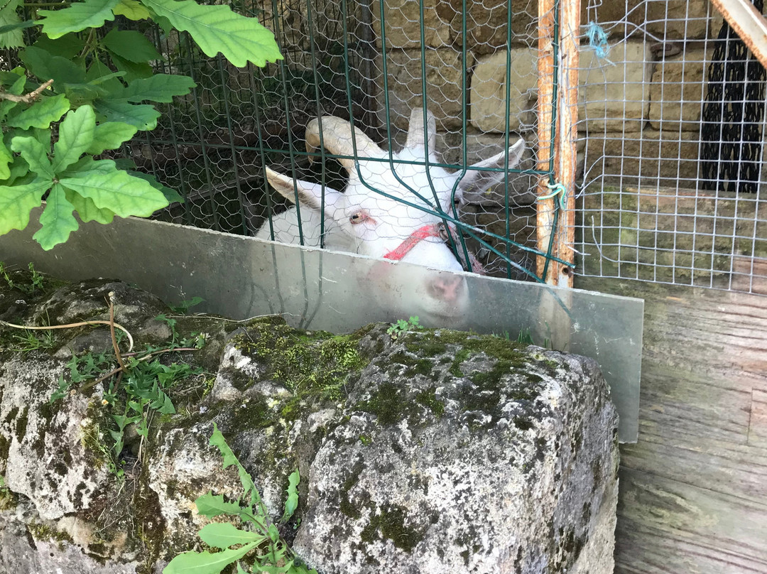 Chambres  Et Gîte Peyroutas主图