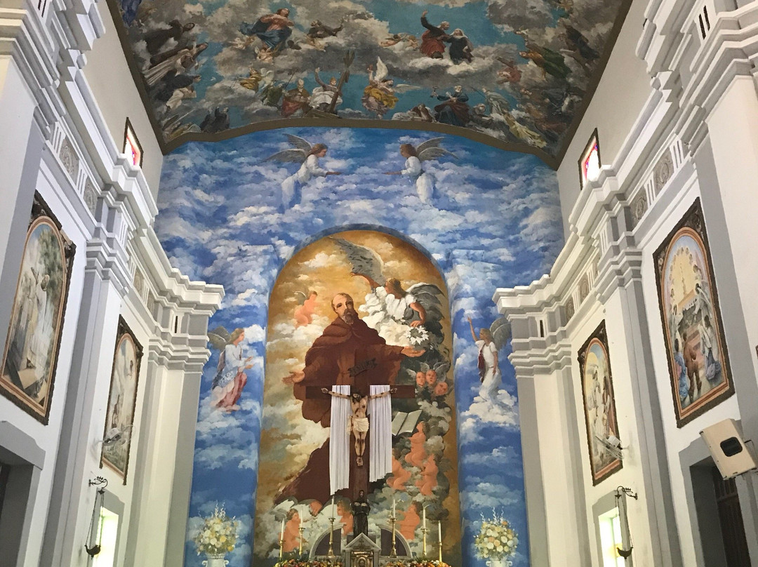 Igreja Matriz De Sao Fidelis景点图片