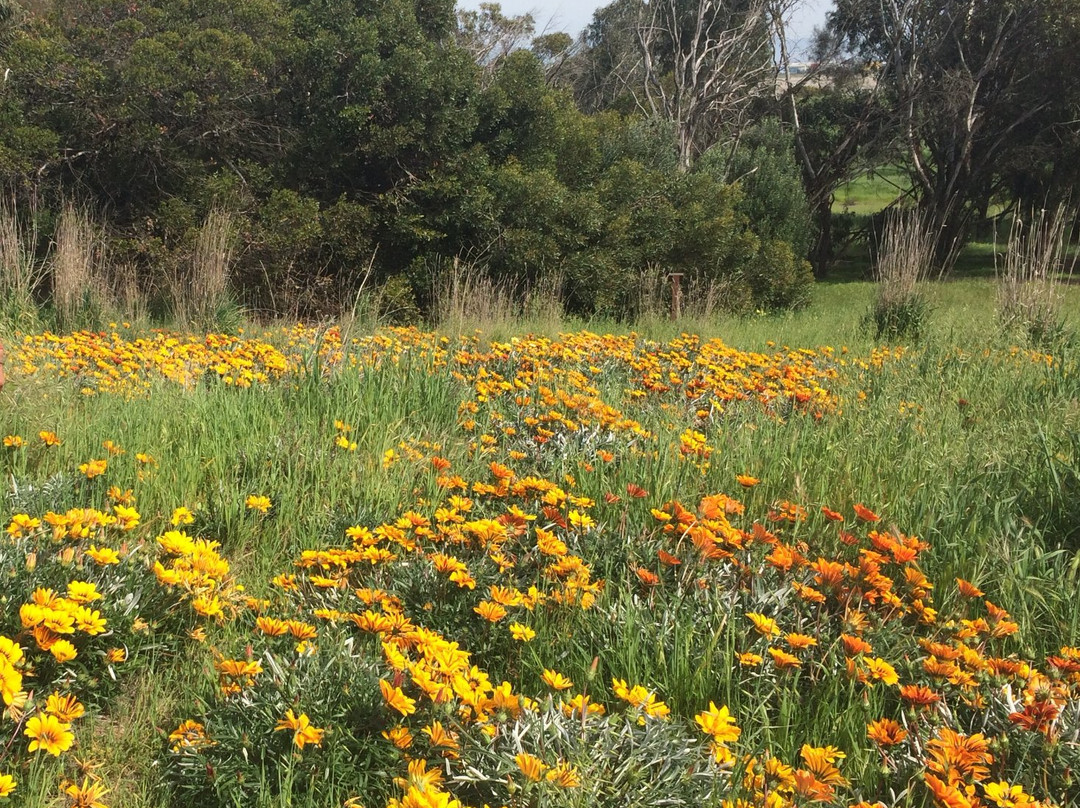 Bedwell Bayfront Park-门洛帕克必去景点