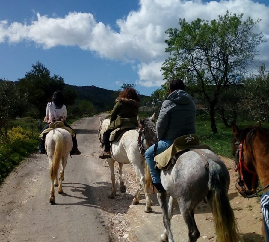 Colomera餐馆和美食-La Posada De Colomera