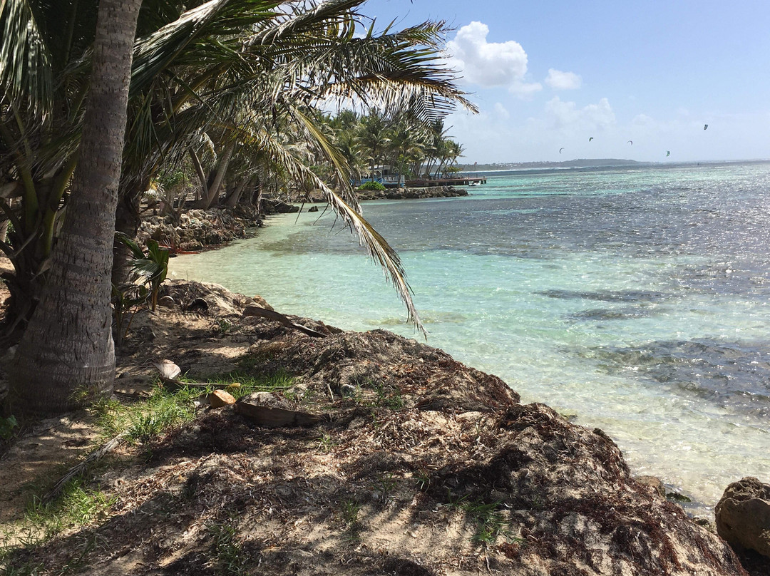 Morne-A-l'Eau酒店住宿-Nid Kreyol