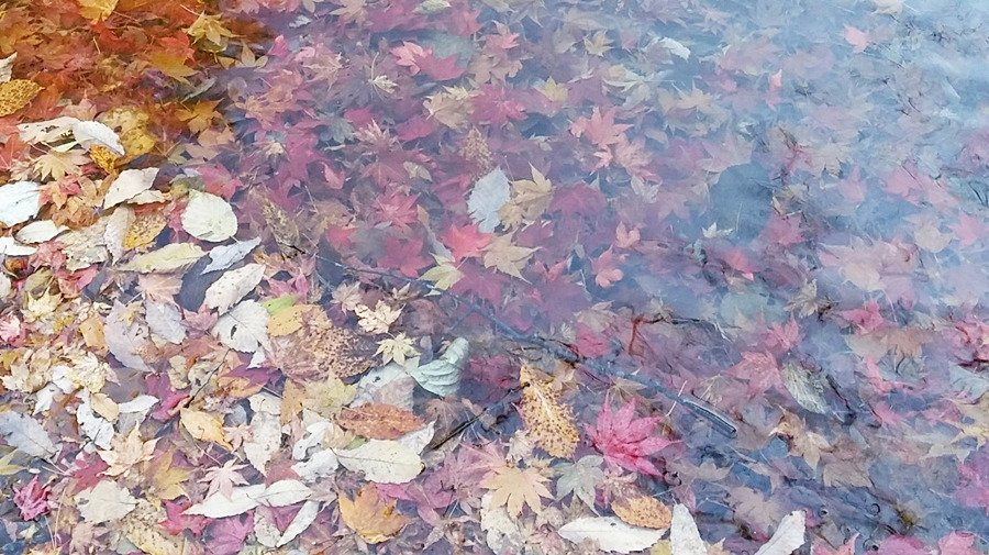 Gangcheonsan County Park景点图片