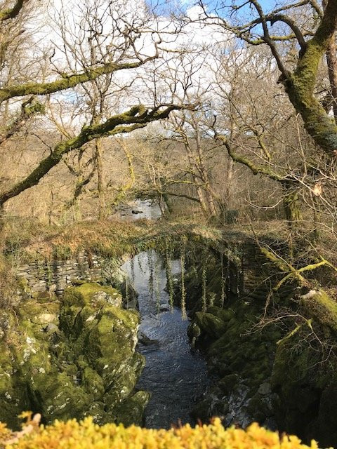 Snowdonia Safaris景点图片