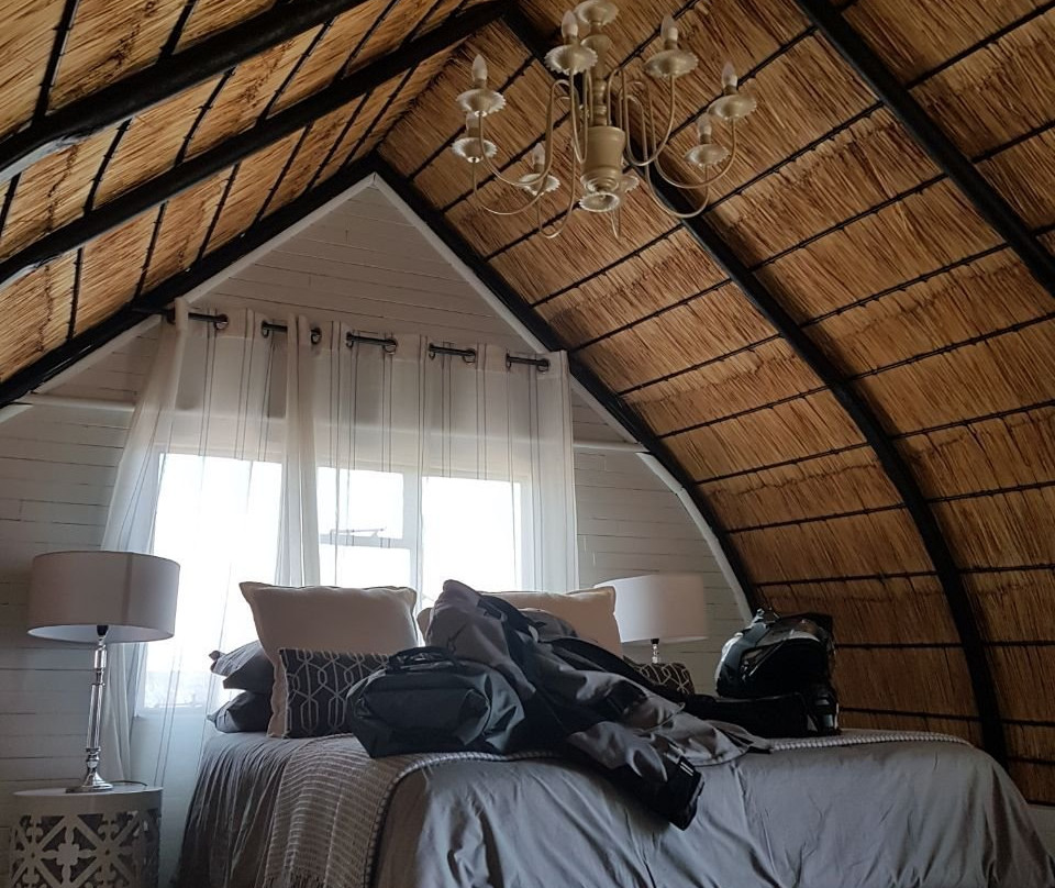 Oppikoppi Barberton主图