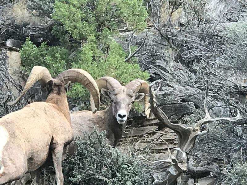 Yellowtail Reservoir-Hardin必去景点