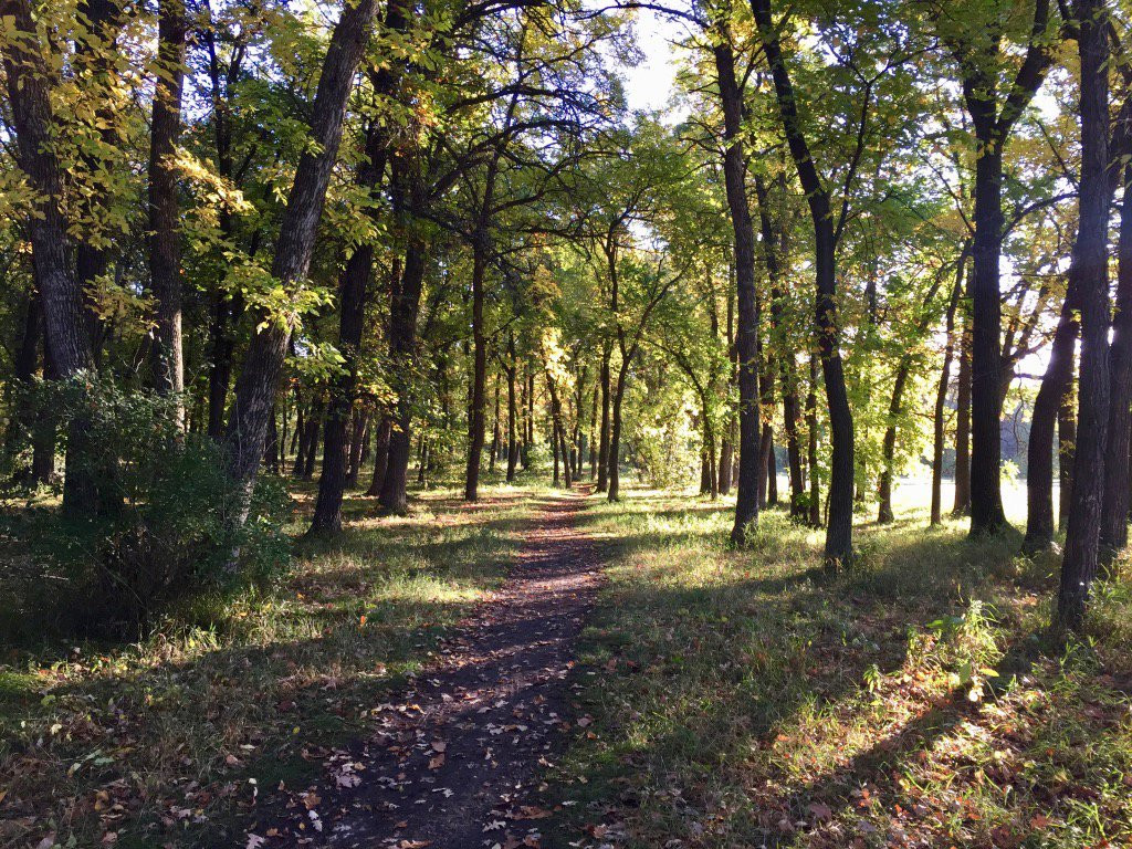 Maple Grove Dog Park-温尼伯必去景点