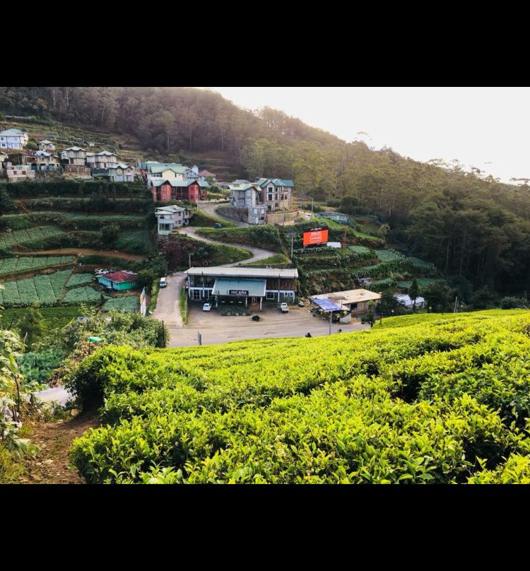 Royal Terrace Holiday Bungalow主图