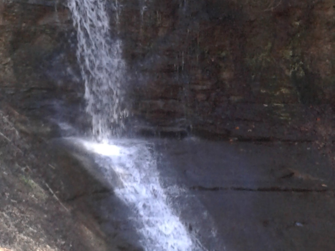 Fall Run Park - Lower Entrance-Glenshaw必去景点