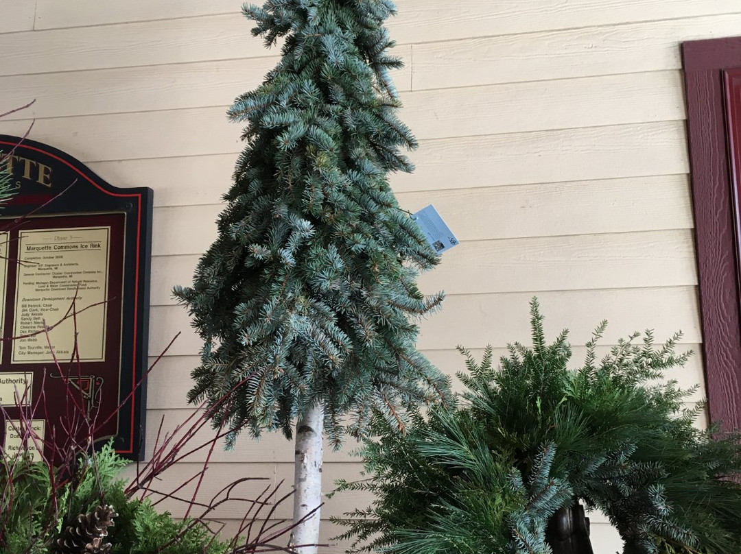 Downtown Marquette Farmers Market-Marquette必去景点