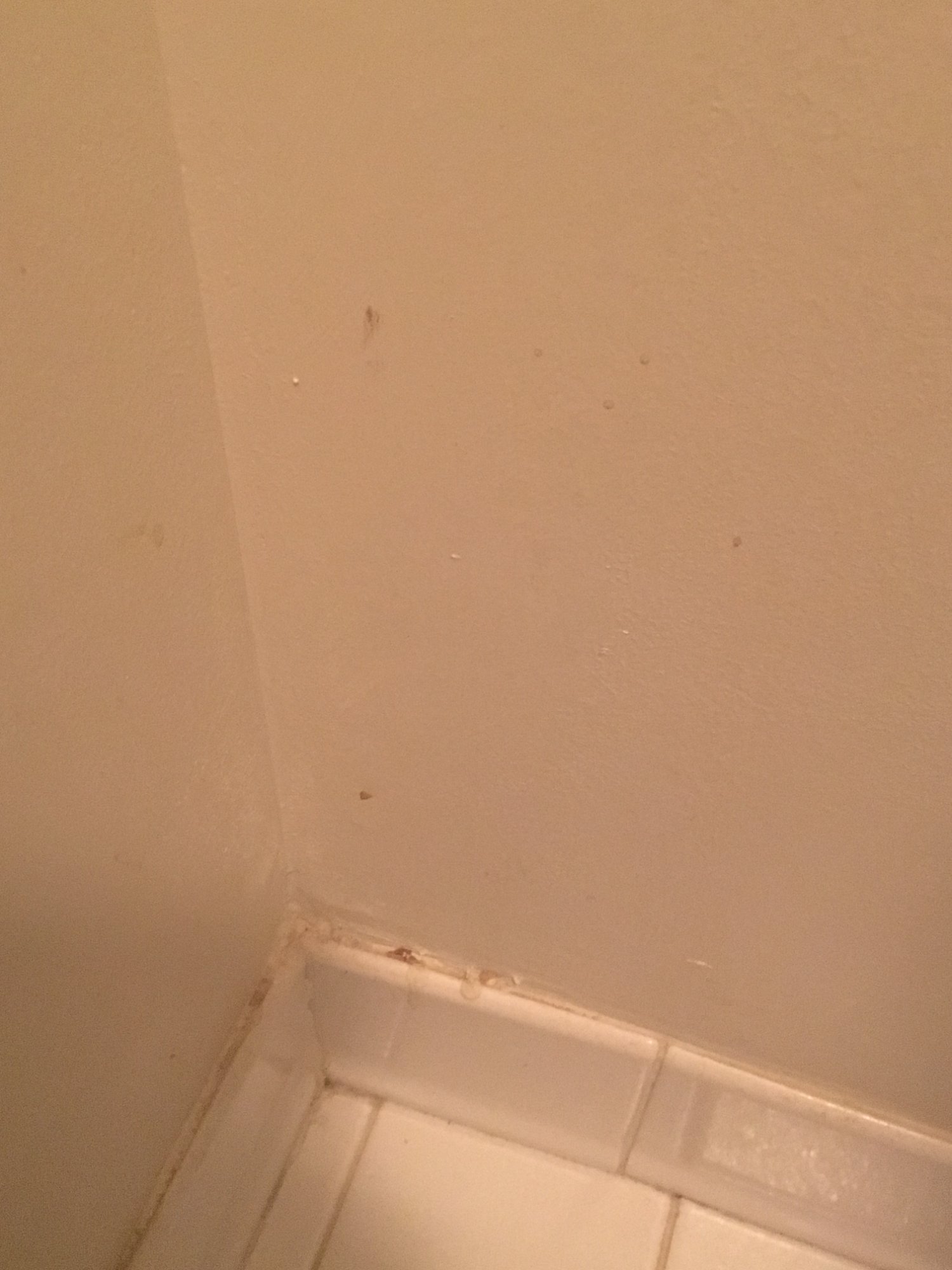 Sleep Inn Little River - North Myrtle Beach-浴室