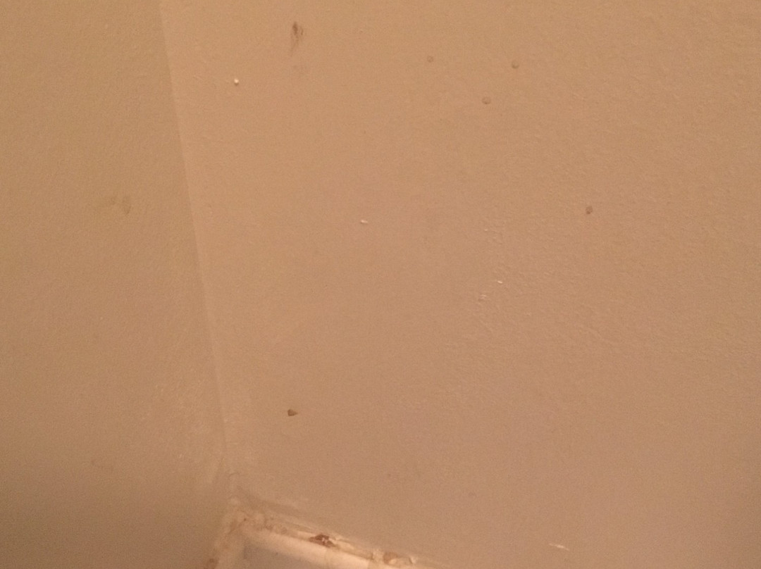 Sleep Inn Little River - North Myrtle Beach主图