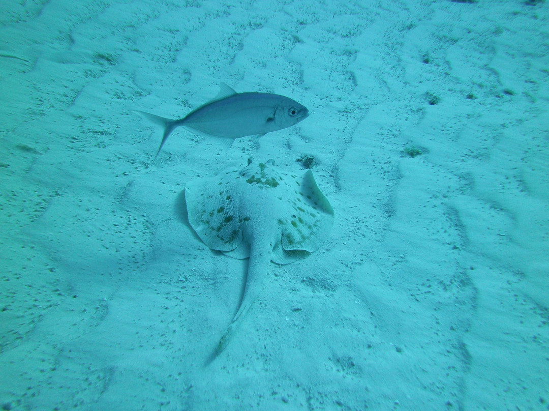 Santa Rosa Wall-考祖梅必去景点