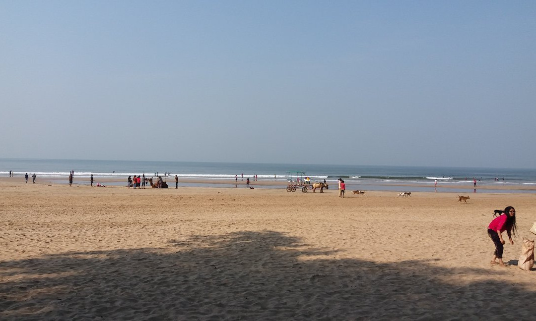 Guhagar Beach景点图片