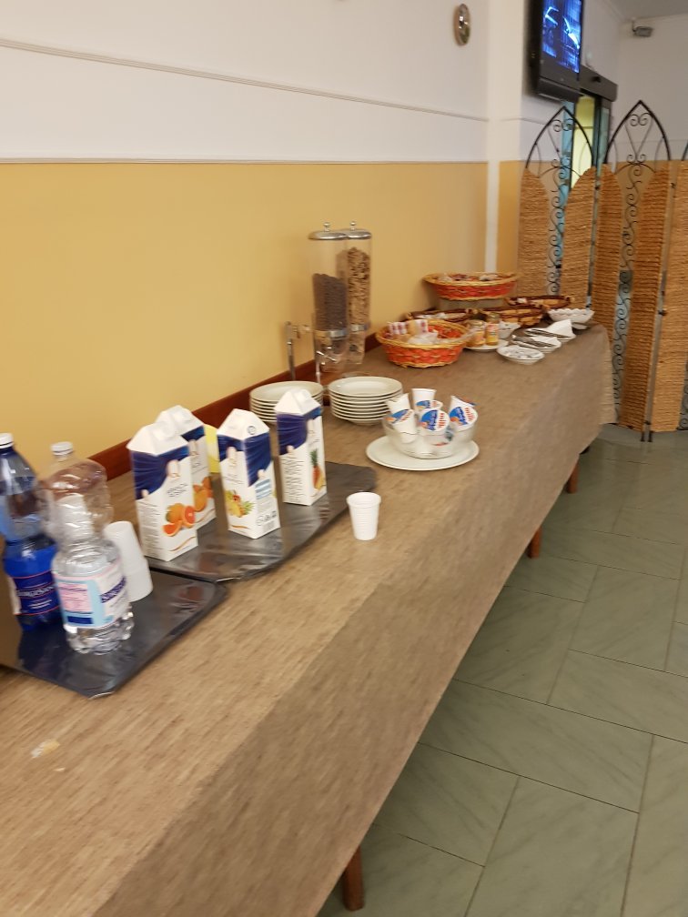 特尼斯酒店-官方