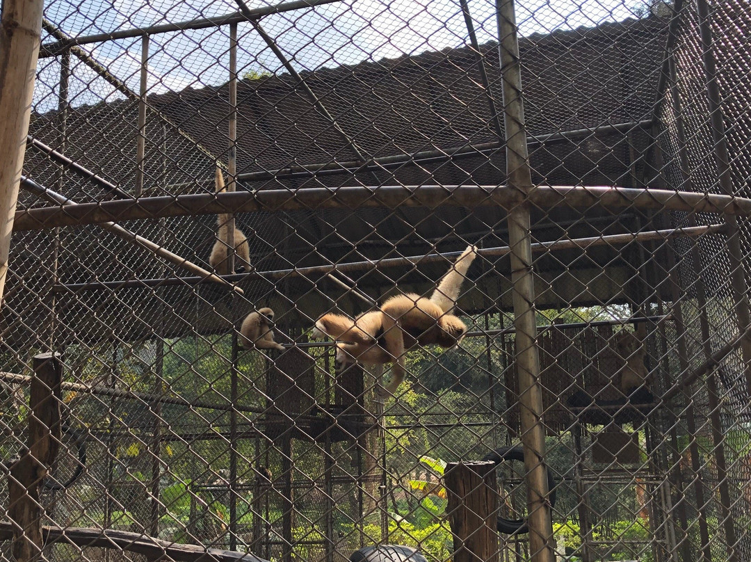 Mae Lao Wildlife Breeding Center-夜佬必去景点