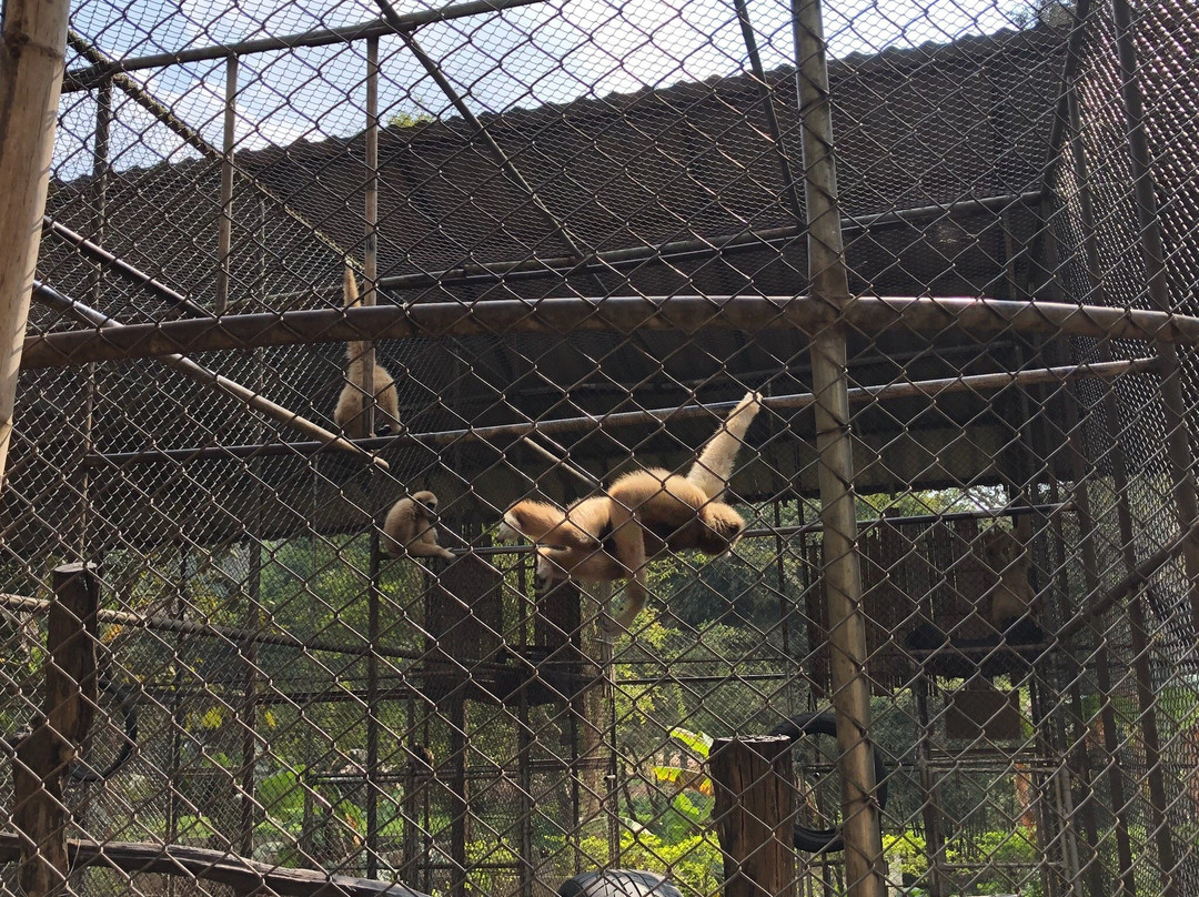 Mae Lao Wildlife Breeding Center景点图片