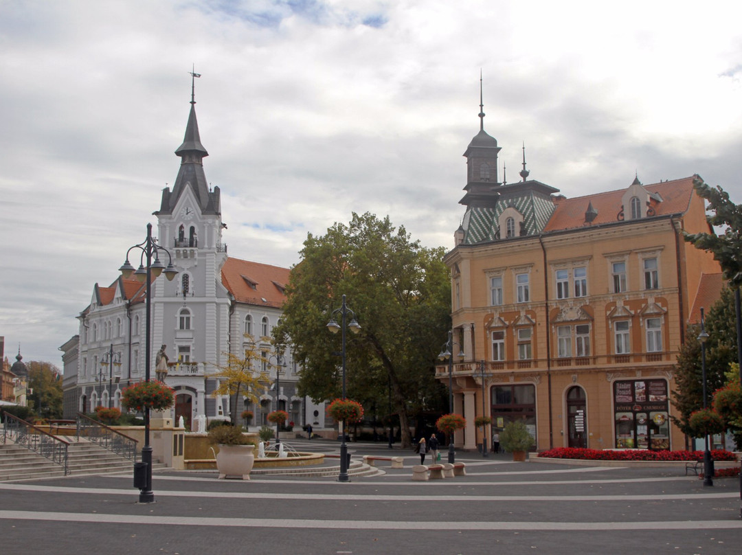 Kaposvar Plaza景点图片