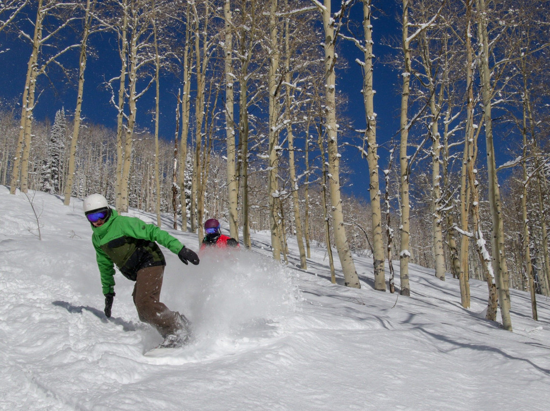 Steamboat Powdercats-斯廷博特斯普林斯必去景点
