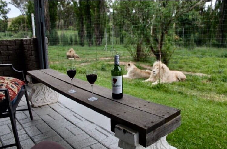 Glen Garriff Lion Conservation Npc