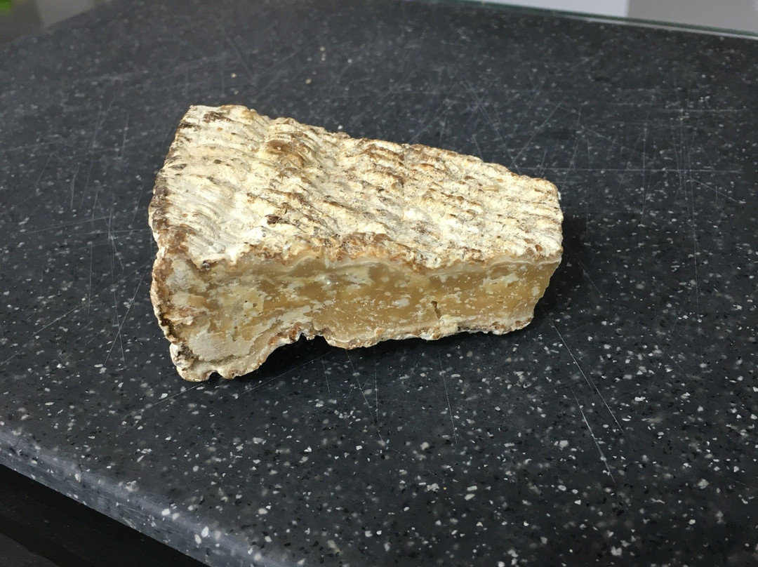 Maison du Brie de Meaux-莫城必去景点