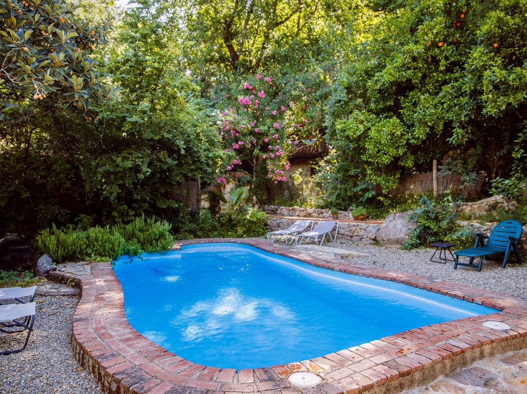 林中小屋乡村旅馆主图